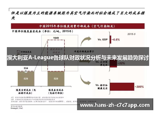 澳大利亚A-League各球队财政状况分析与未来发展趋势探讨 澳大利亚A-League各球队财政状况分析与未来发展趋势探讨