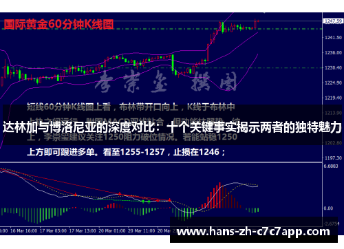 达林加与博洛尼亚的深度对比:十个关键事实揭示两者的独特魅力 达林加与博洛尼亚的深度对比:十个关键事实揭示两者的独特魅力