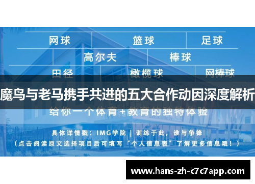 魔鸟与老马携手共进的五大合作动因深度解析 魔鸟与老马携手共进的五大合作动因深度解析