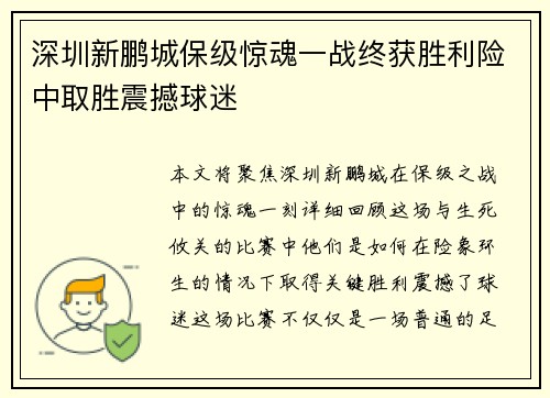 深圳新鹏城保级惊魂一战终获胜利险中取胜震撼球迷 深圳新鹏城保级惊魂一战终获胜利险中取胜震撼球迷